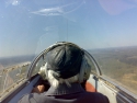 Skat. reitings:  648